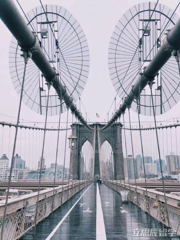 挖掘学生亮点，出彩文书助力，收获纽约大学offer！