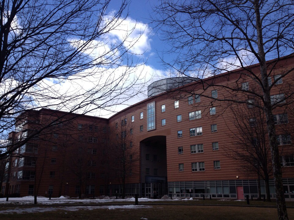 追寻梦的足迹，Z同学不畏艰难，终获康奈尔大学offer！