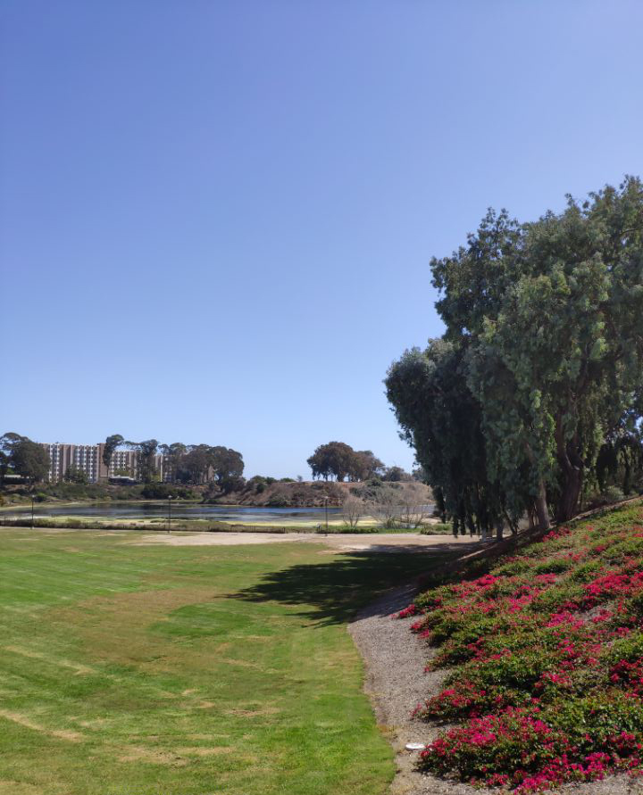 提前规划，背景提升终获雪城大学offer！